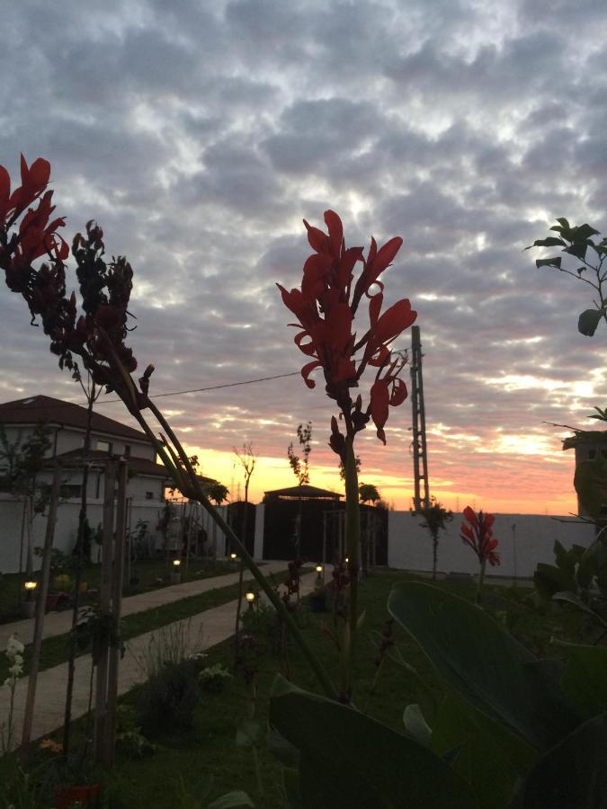 Blue Sky House Otel Balotesti Dış mekan fotoğraf