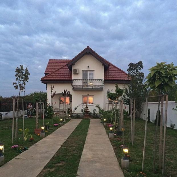 Blue Sky House Otel Balotesti Dış mekan fotoğraf